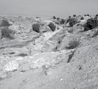 ILLUSTRATOR PHOTO/KRISTEN HILLER Foreboding terrain at the Wadi Qelt, which bisects Jericho. The following is from Who Is My Neighbor? (Spr.