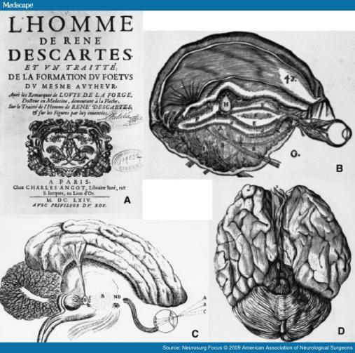 Language Unique to humans Innate human language of the mind translates to speech Animals cannot think with mentalese (universal inner language) L Homme Descartes began