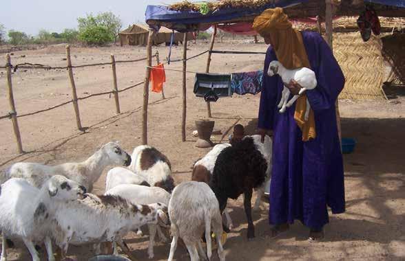 THIS EID, A BRIGHTER FUTURE IS IN YOUR HANDS In many parts of the world, livestock is the only wealth that matters. Cows, sheep and goats give milk that feeds their owners and can be sold at market.