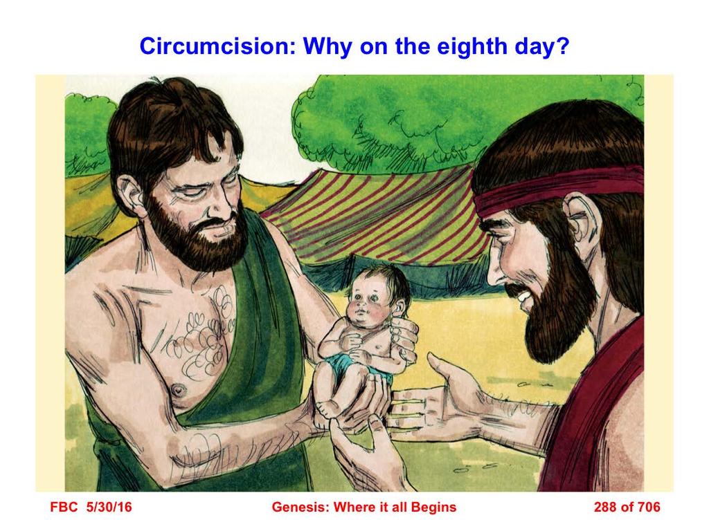 Designating the eighth day after birth as the day of circumcision (v. 12) is one of the most amazing specifications in the Bible, from a medical standpoint. Why the eighth day?