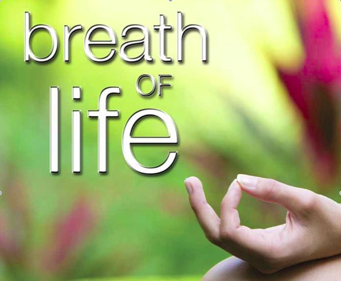By Michael de Manincor In the first of a three-part series in the Australian Yoga Life magazine on the breath, Michael de Manincor overviews breathing in yoga practice, examining how to improve