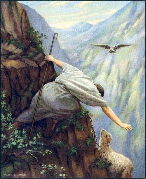Sheep and shepherd, a rich image, was made all the more profound by the way Jesus Himself employed it during times of teaching and leading His disciples.