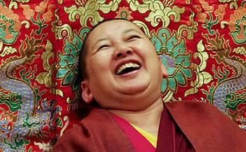 Eight Steps to Take Into the New Year by Mindrolling Jetsün Khandro Rinpoche [This New Year s address marking the solar New Year, 1 January, 2017, was delivered to the global sangha by Mindrolling