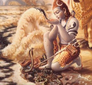 Following the Footsteps Following the footsteps January 15 Lord Shiva and His Worship According to the principles Unborn, Eternal, Infinite, Shiva, who completes the of Sanatan Dharma, without