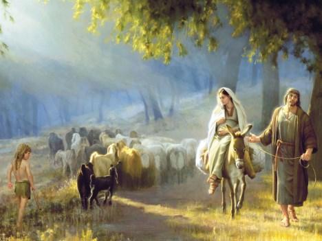 I realize that you probably miss your home, that you miss the company and friends. This shepherding is a solitary occupation. Apart from the sheep, God is really the only one around to talk to.