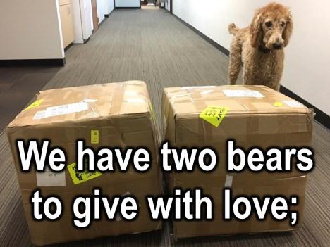 You see, we have two bears and we can give them with love. Now, here s the only question: who is going to get them? Who should we give them to? Go ahead.