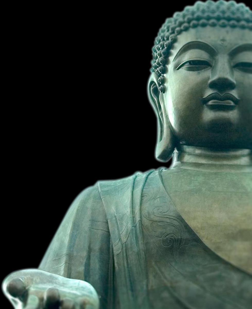 Someone once asked the Buddha skeptically, What have