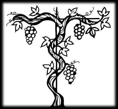Liturgy At Holy Trinity Lutheran Church October 8, 2017 + 9am & 11am Lectionary 27a In today s gospel reading, Jesus tells a parable of the vineyard, an image of Israel, the prophets mission, and