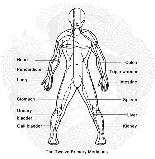 How Qigong Works Your vital energy, or Qi, flows through energy streams inside your body. These streams are called meridians.