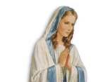 O Mary, conceived without sin, pray for us who have recourse to thee.