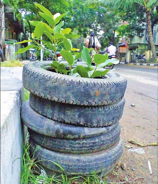 . Truck tyres used to guard tree sapling Used truck tyres piled on top of each other are used as tree guard for a sapling on Brindavan Street Extension (West Mambalam).