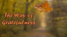 Rev. Joan Pell Sierra Pines United Methodist Church Sermon: 0//08 Series: The Way of Gratefulness Scripture: Psalm 6:-9, 6, James :7 Everything is a Gift NOTE: This sermon is mainly a summary of the