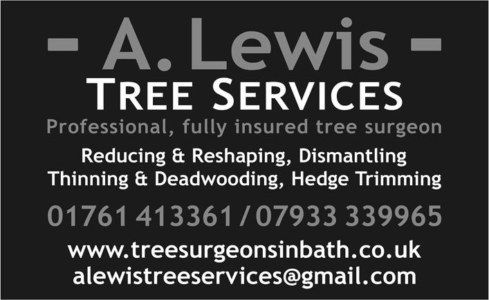 Crown reductions/removal, crown thinning/dismantling,