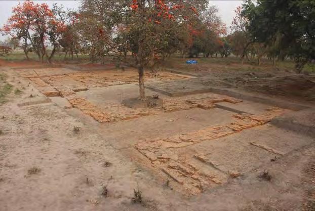 Exposed Archaeological Remains at Tilaurakot Prof.