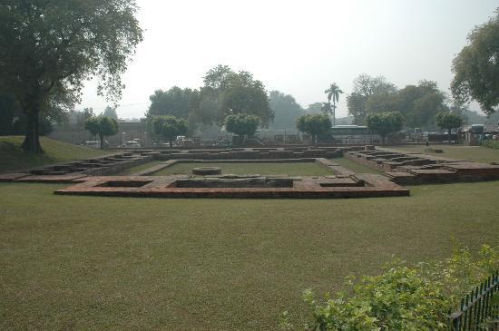 When posted in Varanasi, at a young age of 21, in 1835, he started excavation in nearby Sarnath.
