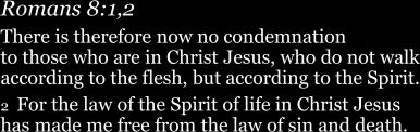 the likeness of sinful flesh, on account of sin: He