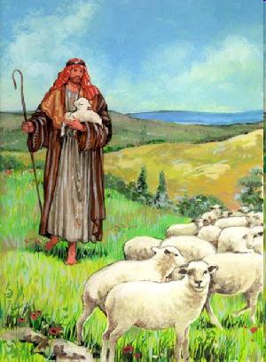 Shepherd/Pastor n