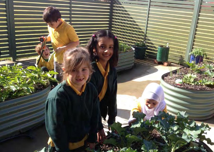 Grassroots Learning Morley Primary School are passionate about active learning so when they
