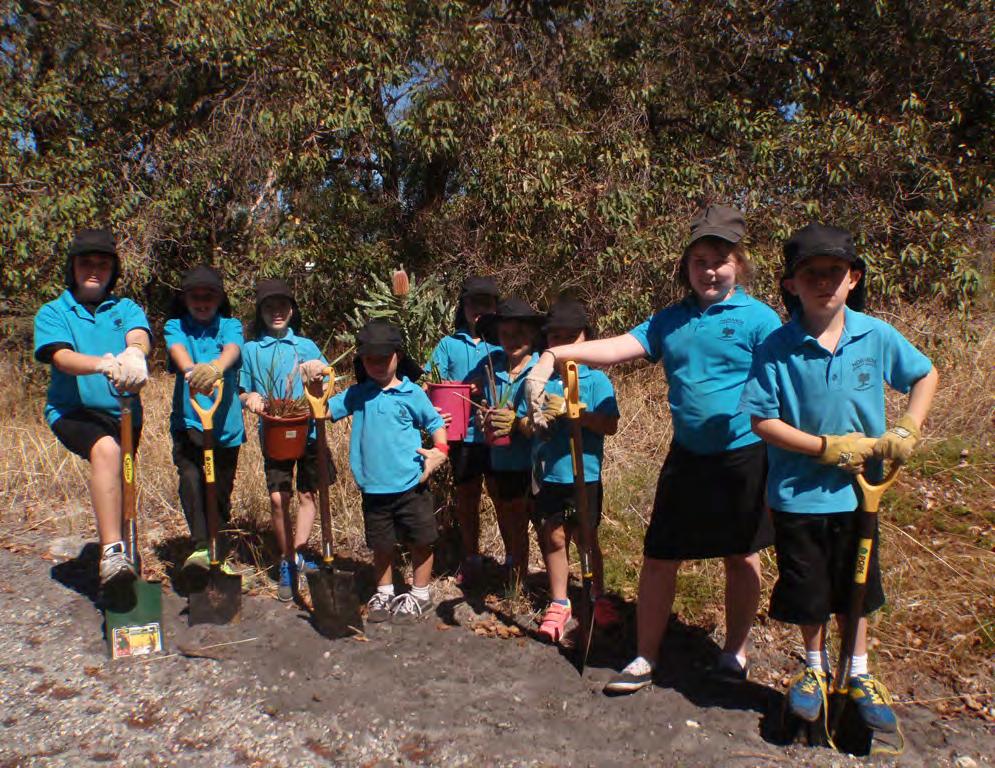 Bushland Project Noranda Primary School and their P&C wanted to maintain their current neighbouring bushland as a natural bush area for the community to use as a learning centre in environmental