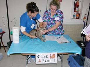 U. S. A. A free veterinary clinic was held in Carlsbad, California near San Diego on 9th December 2006. At the camp, 88 dogs and 35 cats were seen by veterinarians.