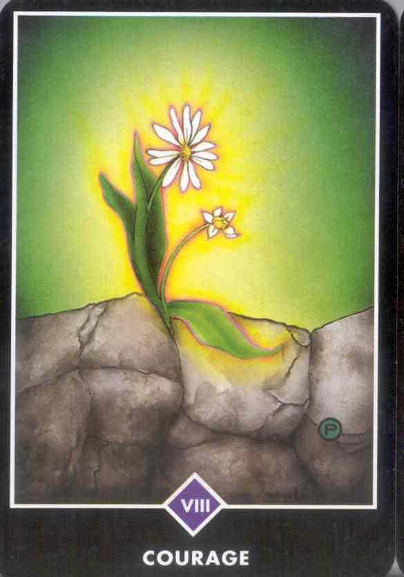08 Courage What is repressed This card shows a small wildflower that has met the challenge of the rocks and stones in its path to emerge into the light of day.
