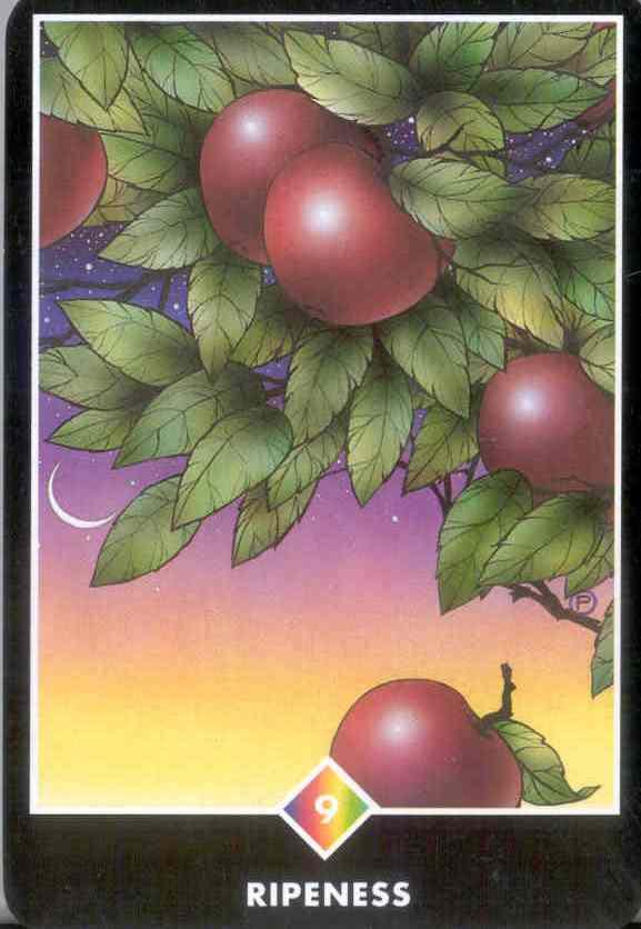 Rainbow 9 The Yin card, your female (passive) aspect When the fruit is ripe, it drops from the tree by itself. One moment it hangs by a thread from the branches of the tree, bursting with juice.