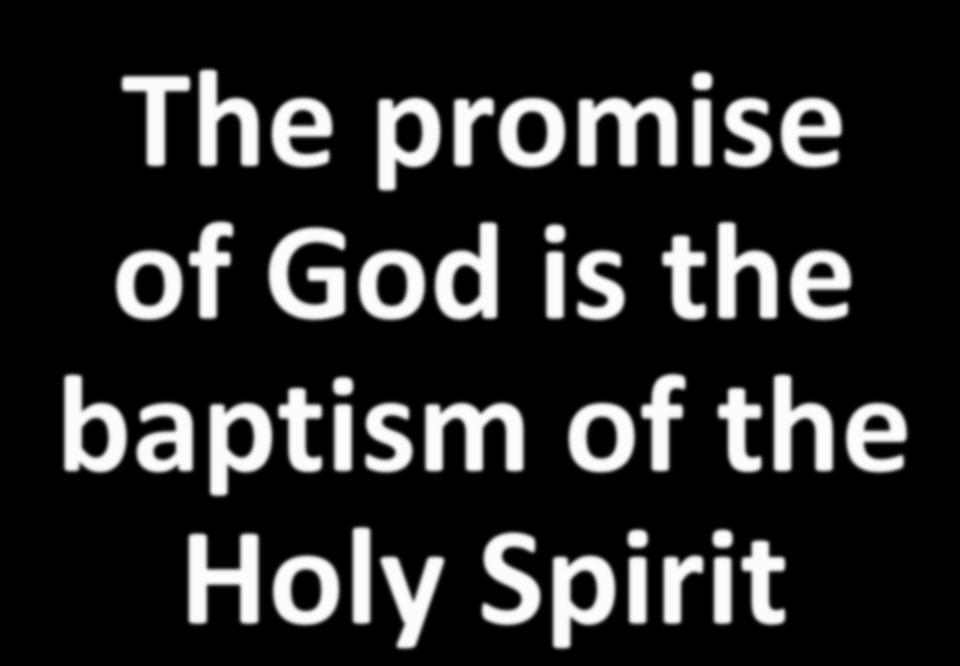 The promise of God is the