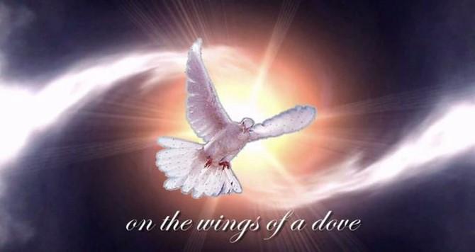Susan Humphrey has again planned a meaningful Bible study entitled: Wings of Wisdom Finding and Sharing Wholeness and Peace in Difficult Times. POP ladies will carpool together to attend.