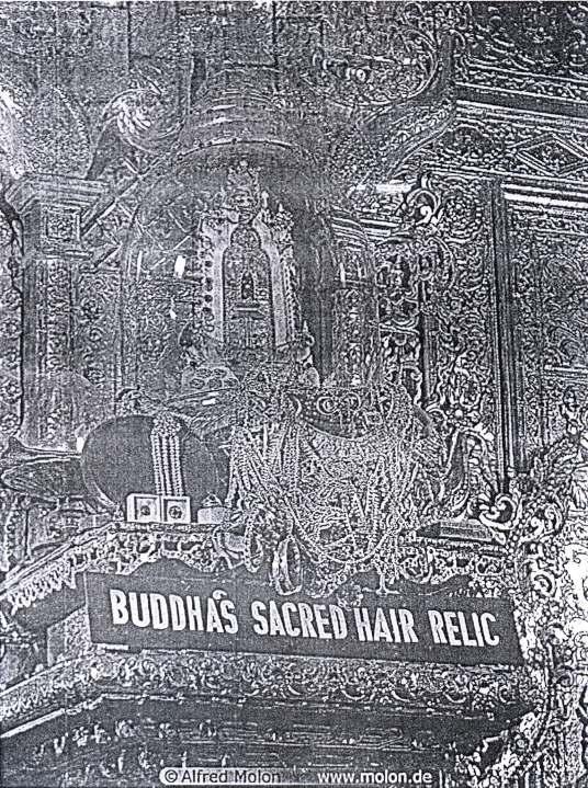 Buddha s sacred relic hair Myanmar Yangon Temples and Palaces Photo Gallery - 05