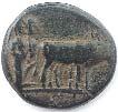 coins until the reign of Trebonianus Gallus.