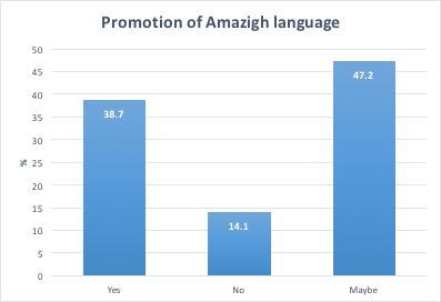 Figure 6. Promotion of Amazigh language This theme is continued in attitudes expressed in the group interviews.