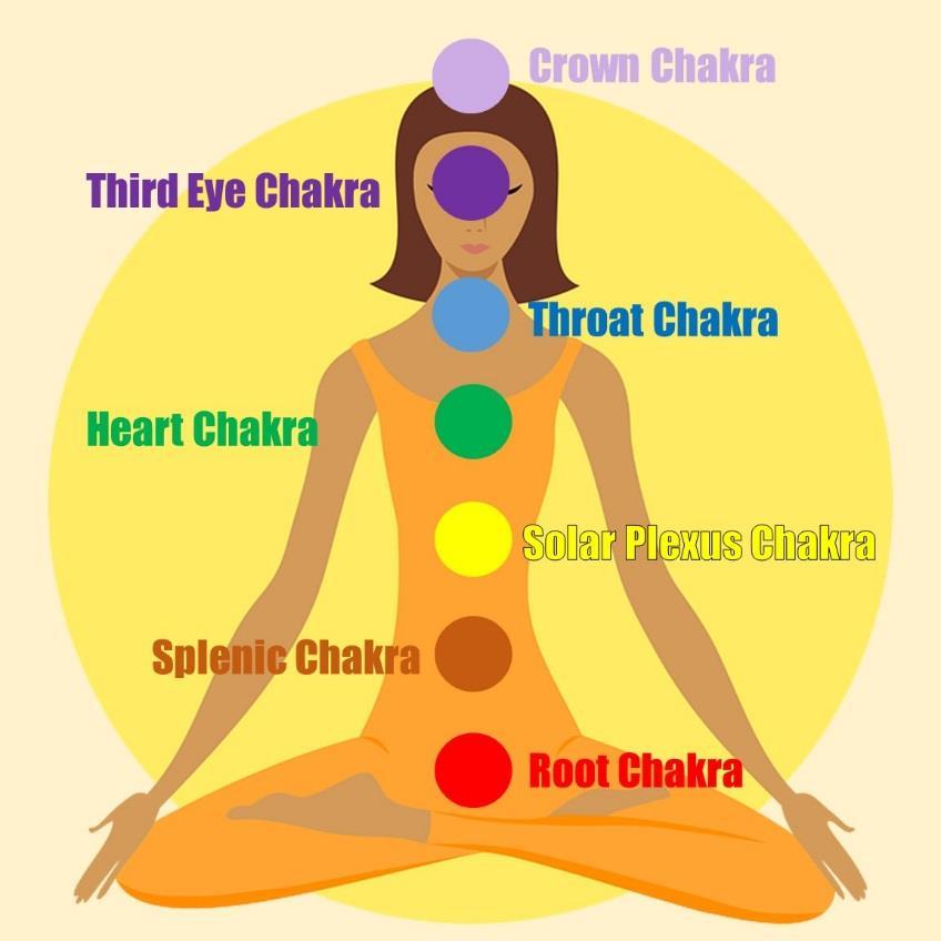The Chakras It is important to know about the 7 chakras in the body that travel from the groin to the top of the head.