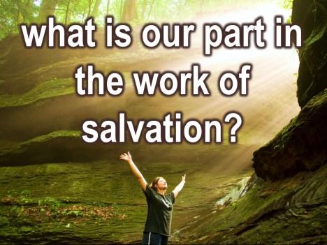 So what then is our part in the work of salvation? What are we supposed to do after we answer Yes, Jesus Christ is my Lord and Savior?
