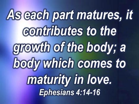 And each of us mature, as each part matures, it contributes to the growth of the body.