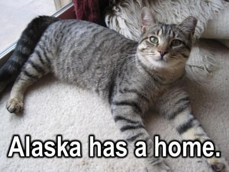 And guess what? Alaska now has a home. It s a home where he will be loved and cared for because that s what love does.
