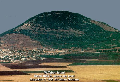 MOUNT TABOR AND MEGGIDO For those who have visited Israel this story has some very real interest. Barak starts from Mount Tabor.
