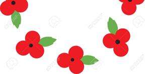 support for sufferers of PTSD. Man s (and woman s) best friend, indeed! DID YOU KNOW? Everyone has seen and, hopefully, worn one of these little red poppies at this time of year.