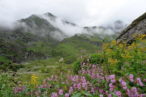 Valley of Flower & Hemkund Sahib Trek 2013 Valley of Flower: The beautiful valley situated at an altitude of 3300 mts to 3650 mts is the paradise of nature lovers.