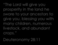 TRUSTING TESTING The Lord will give you prosperity in the land he swore to your ancestors to