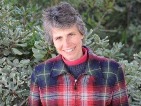 South Bay Jane Affonso Statement: I have a passion for justice and peace, especially in the interfaith context and have most recently focused on environmental advocacy and fair trade.