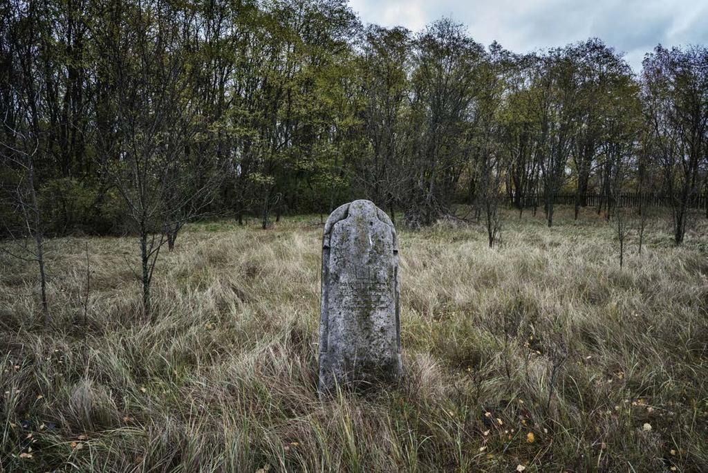 The old Jewish cemetery of Chernobyl.