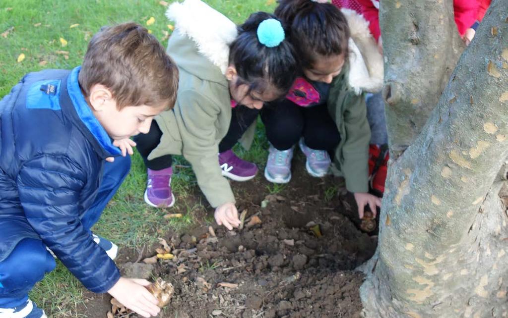 Religious school students planted daffodils in memory of Holocaust victims with the help of parents, below.