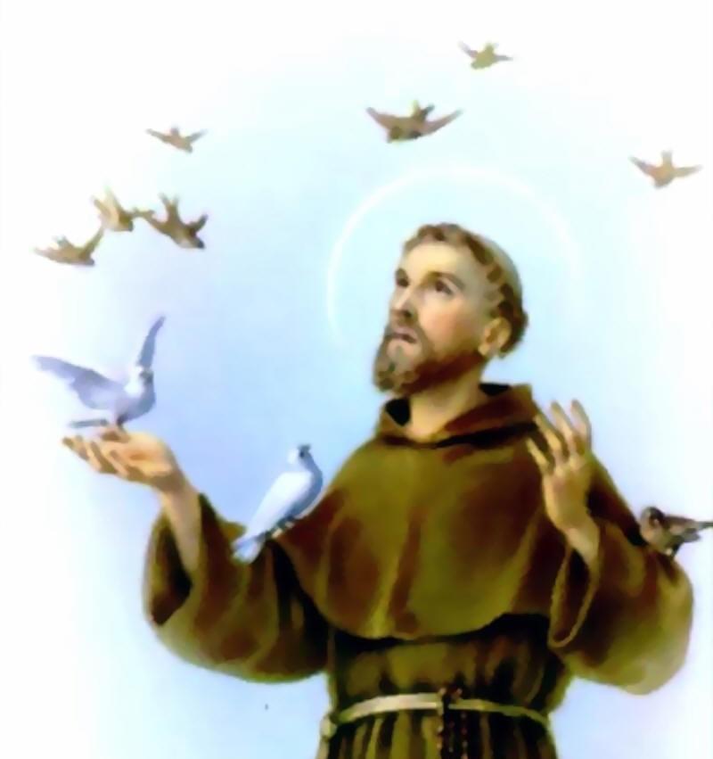 SAINT FRANCIS FEAST DAY PARISH-WIDE LUNCHEON SUNDAY, OCTOBER 8TH @ 12:30 THE MAIN COURSE & BEVERAGES