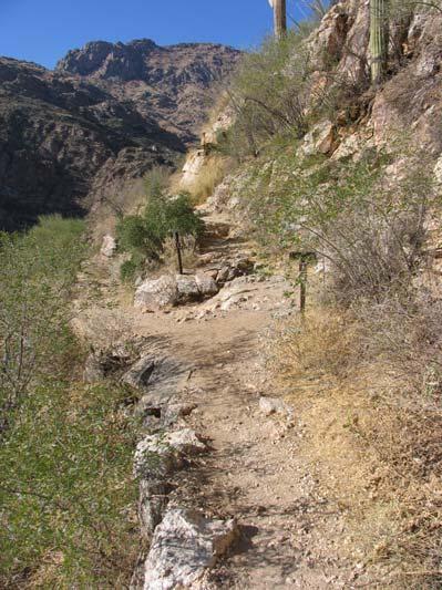 Tucson, Arizona. When I looked at the trail, I could see that it went between those rocks. (The photo on the lower right shows the two large rocks, the trail, and part of Dove Cove.