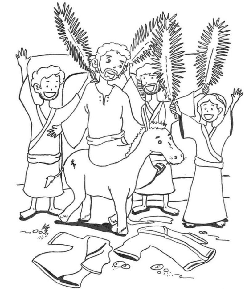 (As Jesus neared Jerusalem) a very large crowd spread their cloaks on the road, and others cut branches from the trees and spread them on the road.