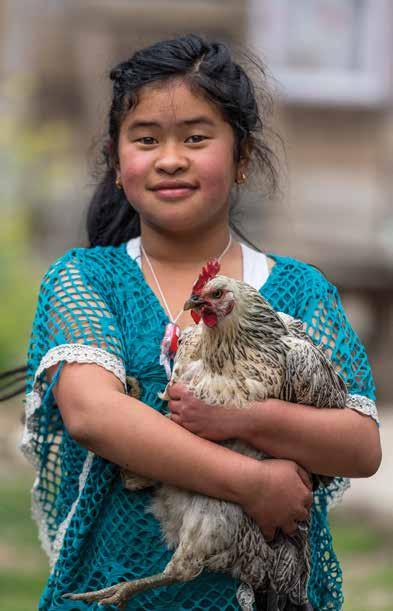 Cheep Gift but Big Impact! The gift of chickens supplements a family s income and often helps a family get on its feet financially.