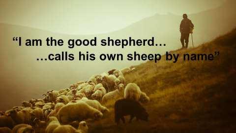 not going to be executed! You re not going to die! You re going to live! In John 10, Jesus talks about himself as the good shepherd. He adds that, he calls his own sheep by name.