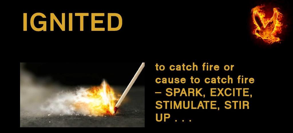 Let us look at the words in our theme: IGNITED for IMPACT Ignited to catch fire or