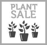 6th and 7th. Hanging baskets, bedding plants and more will be for sale. More details will be available shortly. For more information please call Jim Weber at 314-968-8303. Tues.