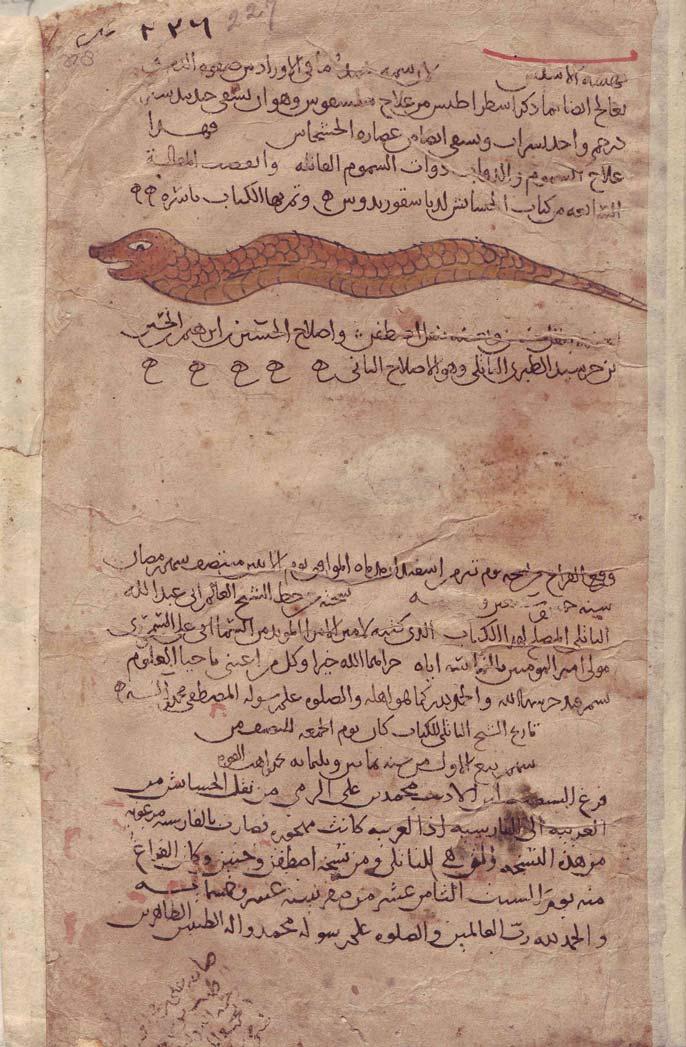 Colophon in a MS of the Kitab al-hasha ish, the work on Materia medica by Dioscurdides. This MS dated Samarqand, Ramadan 475 (1082). Under the colophon is a note by the Persian translator, Muhammad b.